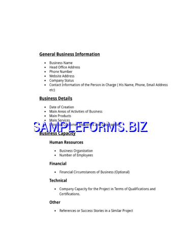 Business Profile Template 3 docx pdf free